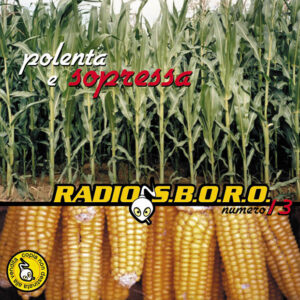 RS 13 - Radiosboro 13