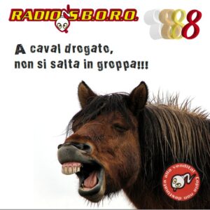 RS 08 - Radiosboro 8